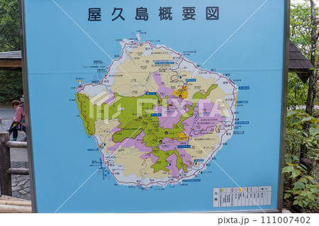 屋久島の白谷雲水峡エリア 屋久島の白谷雲水峡エリア 111007402