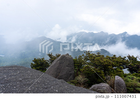 屋久島のヤクスギランドにある太忠岳 111007431