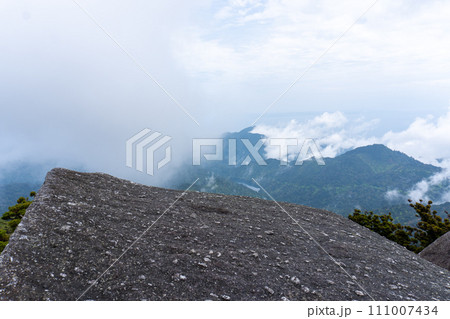屋久島のヤクスギランドにある太忠岳 屋久島のヤクスギランドにある太忠岳 111007434