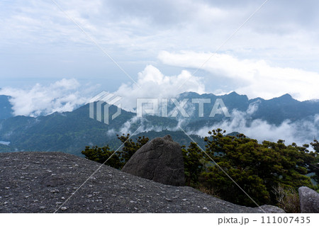 屋久島のヤクスギランドにある太忠岳 屋久島のヤクスギランドにある太忠岳 111007435