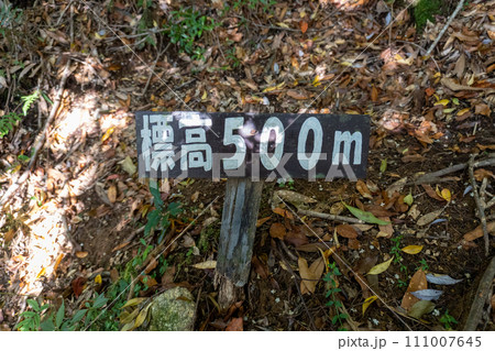 屋久島のモッチョム岳登山 111007645