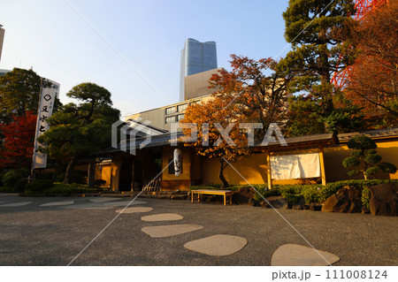 Nov 27 2023 Scenic Evening Cityscape with Autumn Trees in a Metropolis 111008124