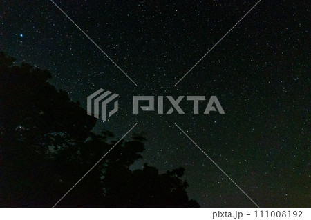 屋久島の愛子岳周辺からの夜空星空 屋久島の愛子岳周辺からの夜空星空 111008192