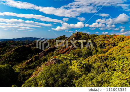 ひき岩群Rev2 ひき岩群Rev2 111008535