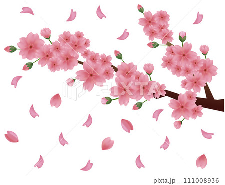 花びらが舞う背景素材 桜のイラスト 花びらが舞う背景素材 桜のイラスト 111008936
