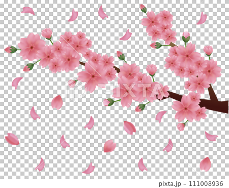 花びらが舞う背景素材 桜のイラスト 花びらが舞う背景素材 桜のイラスト 111008936