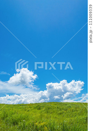 長野県・霧ヶ峰 111009339