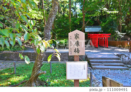 徳川家康の墓とされる駿府「久能山東照宮」の境内と眺望 111009491