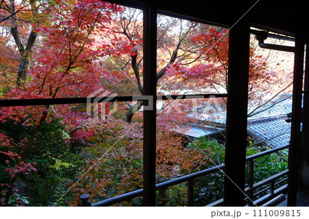 日本 京都 秋の紅葉 日本庭園 111009815