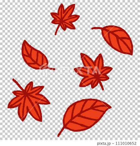 簡單的秋天葉子圖 簡單的秋天葉子圖 111010652