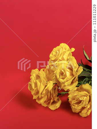 Bouquet of yellow roses on a red background 111011229