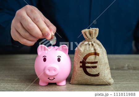 Pig piggy bank and euro money bag. Savings management. Banks and finance. Savings and accumulation of funds from cutting expenses. Investments, fundraising. 111011988