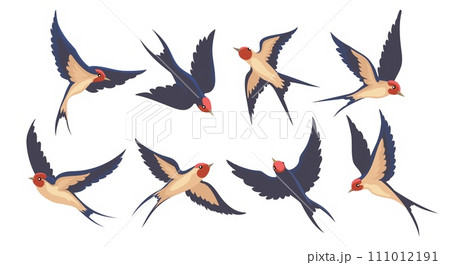 Cartoon swallow in flight set 111012191