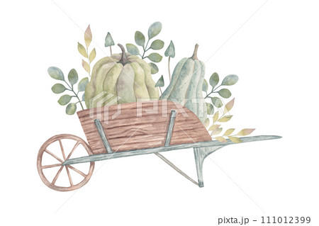 Wooden cart with pumpkins, leaves and mushrooms. Watercolor illustration. Autumn composition with vegetables. Decoration for seasonal holidays and Thanksgiving. Harvest concept. Hand drawn isolated. 111012399