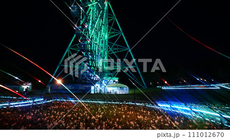 ライトアップされた観覧車は花と光のムーブメント 111012670