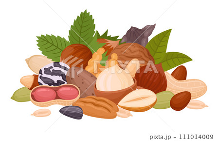 Seeds and nuts handful. Raw nuts bunch, almond, peanut, cashew and walnut mix, organic vegetarian nuts mix flat vector illustration on white Seeds and nuts handful. Raw nuts bunch, almond, peanut, cashew and walnut mix, organic vegetarian nuts mix flat vector illustration on white 111014009