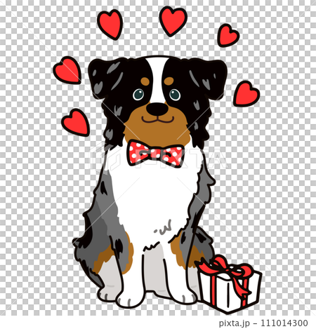 Simple and cute Australian Shepherd illustration for Valentine's Day Simple and cute Australian Shepherd illustration for Valentine's Day 111014300