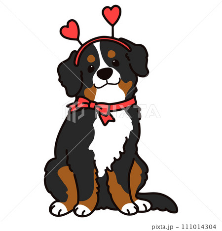 バレンタインデーのシンプルで可愛いマウンテンドッグのイラスト 111014304