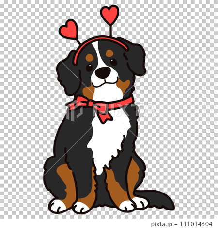 バレンタインデーのシンプルで可愛いマウンテンドッグのイラスト 111014304
