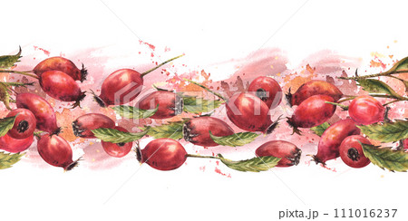 Branch of wild rosehips with red briar fruits, dog rose green leaves on watercolor stains splashes background Seamless border, pattern Hand drawn illustration for wallpaper, wrapping, fabric Isolated 111016237