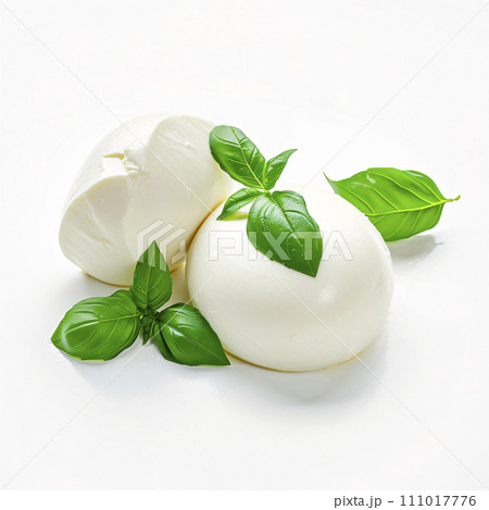 モッツァレラチーズとバジル モッツァレラチーズとバジル 111017776