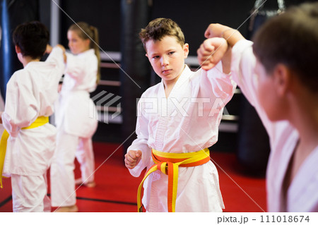 Boys training in pair to use taekwondo technique during class 111018674