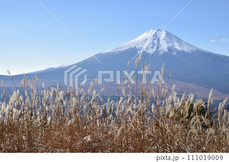 富士山とススキ 富士山とススキ 111019009