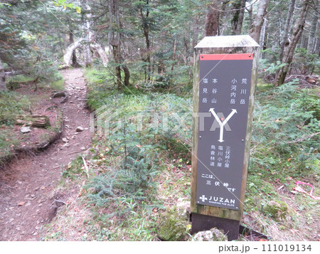 塩見岳分岐 塩見岳分岐 111019134