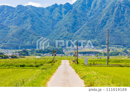 長野県上田市の初夏　のどかな塩田平 111019189