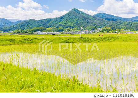 長野県上田市の初夏　のどかな塩田平 111019196