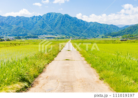 長野県上田市の初夏　のどかな塩田平 111019197