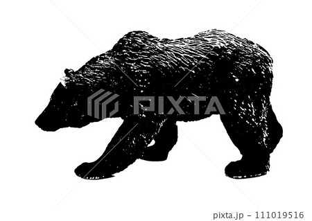 silhouette of big bear model stand isolated on white background 111019516