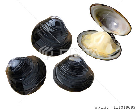 しじみ（3個と開き） 111019695