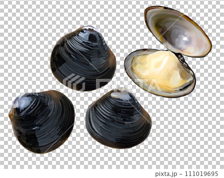 しじみ（3個と開き） 111019695