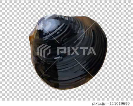 しじみ（1個） 111019699