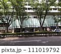 《東京都》緑のある表参道 111019792