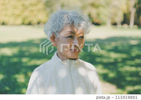 公園の60代女性 111019801