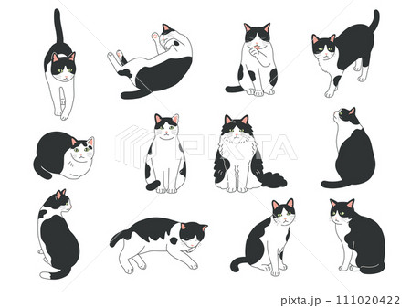 シンプルでかわいい猫のイラストセット シンプルでかわいい猫のイラストセット 111020422