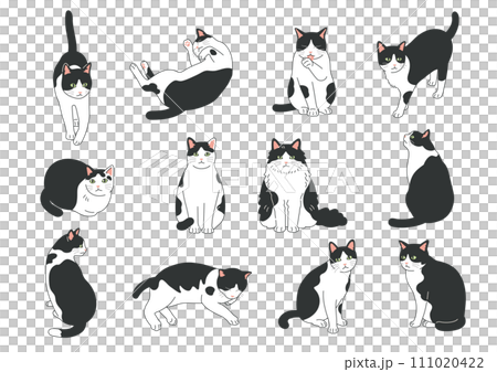 シンプルでかわいい猫のイラストセット シンプルでかわいい猫のイラストセット 111020422