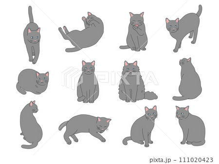 シンプルでかわいい猫のイラストセット 111020423