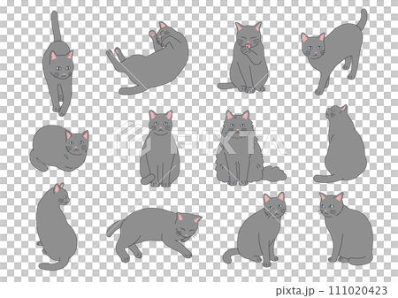 シンプルでかわいい猫のイラストセット 111020423