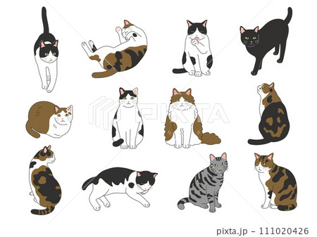 かわいい猫のイラストセット かわいい猫のイラストセット 111020426