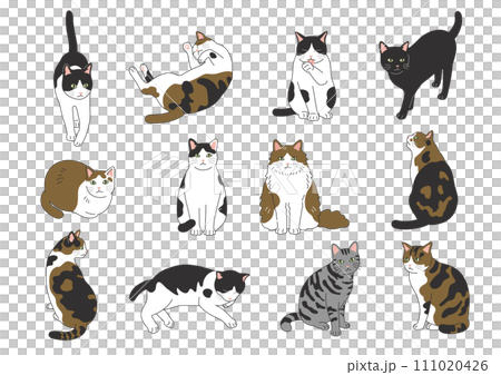 かわいい猫のイラストセット かわいい猫のイラストセット 111020426