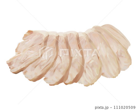 サラダチキン（皿なし） 111020509