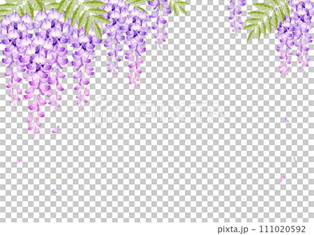 紫藤花背景框架水彩插圖 紫藤花背景框架水彩插圖 111020592