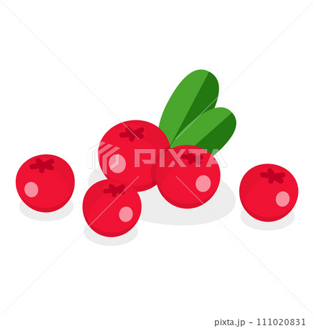 3D Isometric Flat Vector Set of Medical Herbs And Berries. Item 6 111020831