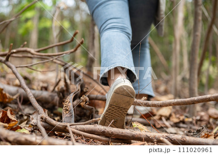 A close-up leg shot of a woman in sneakers solo hiking on the mountain. rear view A close-up leg shot of a woman in sneakers solo hiking on the mountain. rear view 111020961