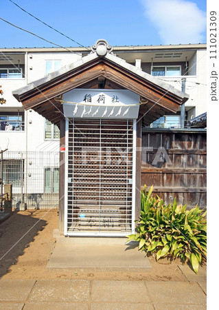 鶴ヶ岡八幡神社(ふじみ野) 鶴ヶ岡八幡神社(ふじみ野) 111021309
