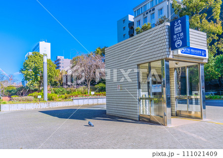 日本の横浜都市景観　横浜市営地下鉄　伊勢佐木長者町駅（エレベーター出入口3）などを望む 111021409