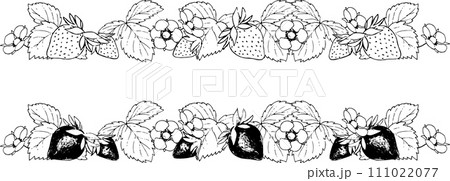 ペンで描いた苺のイラスト3 111022077